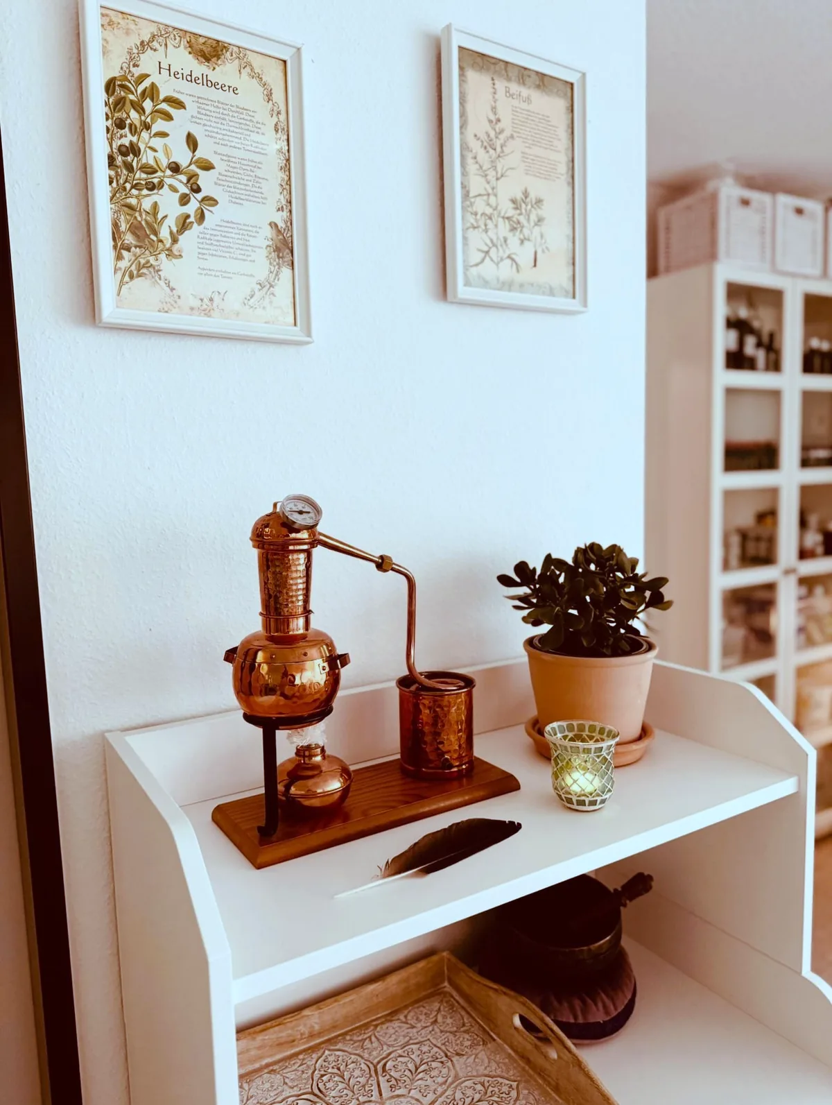 Kupferne Destille auf einem Tisch neben botanischen Drucken